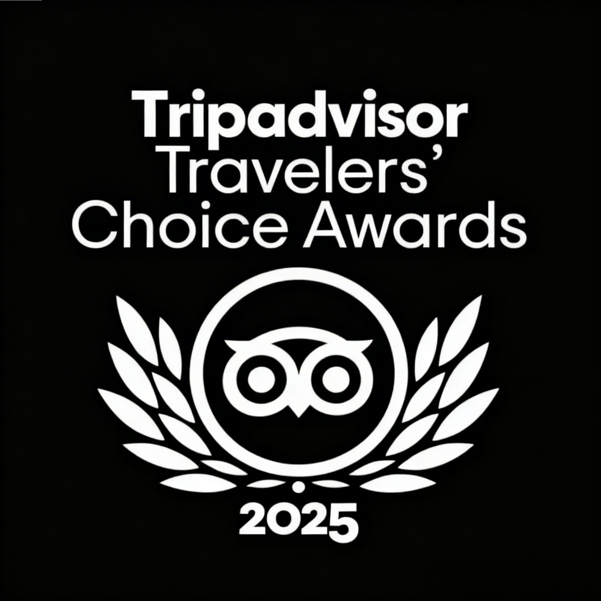 Reconocimiento TripAdvisor 2025 de Lunalba